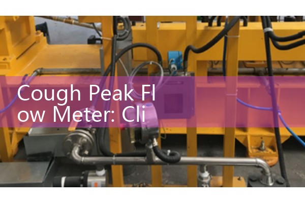 Cough Peak Flow Meter: Clinical Expiratory Pulmonary Diagnostic Equipment